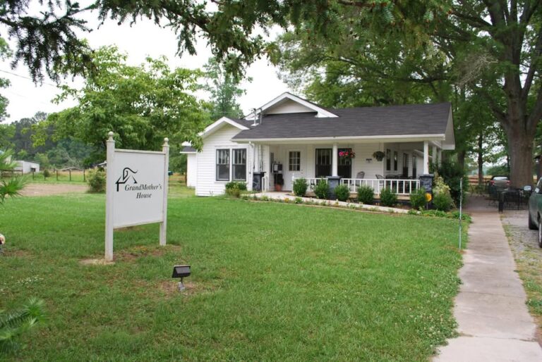 Grandmothers House 768x514
